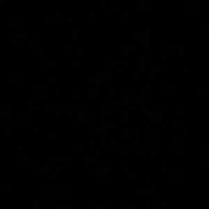 Meet your Posher, Noor